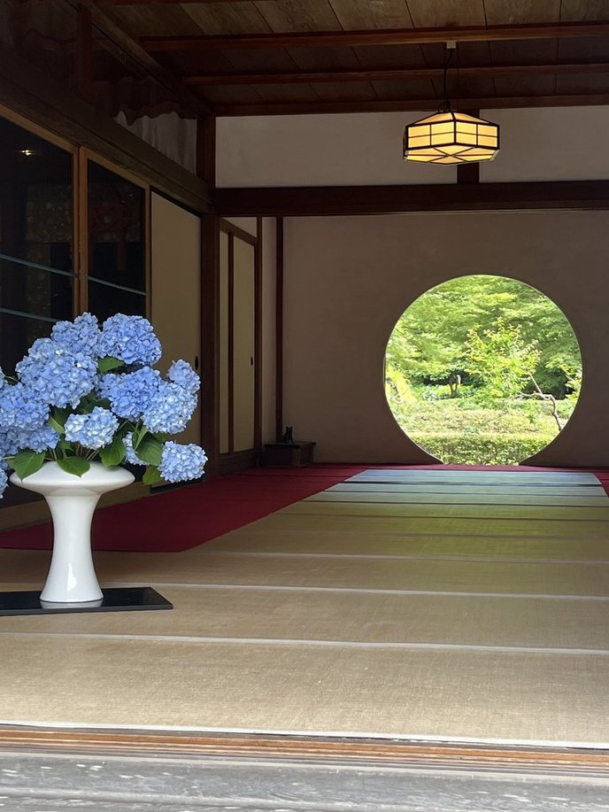 鎌倉の明月院の悟りの窓とアジサイの写真