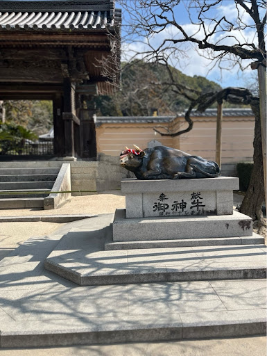 太宰府の撫で牛の写真